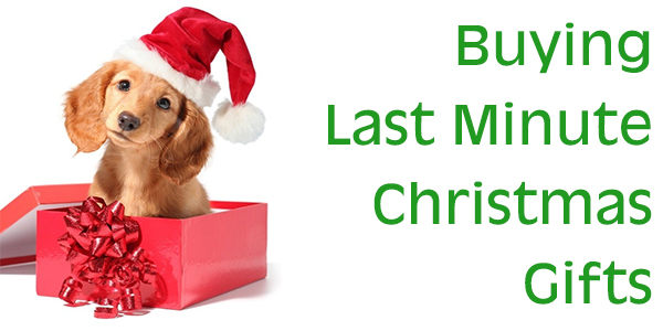 Buying Last Minute Christmas Gifts