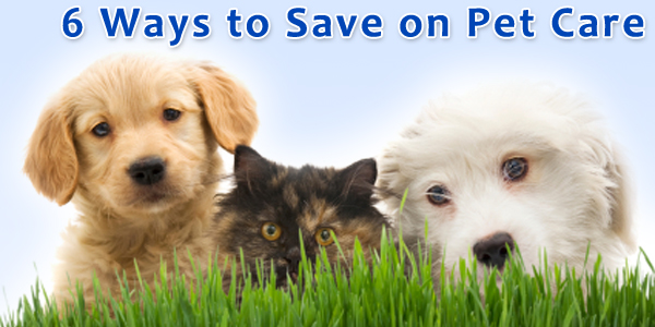 6 Ways to Save on Pet Care