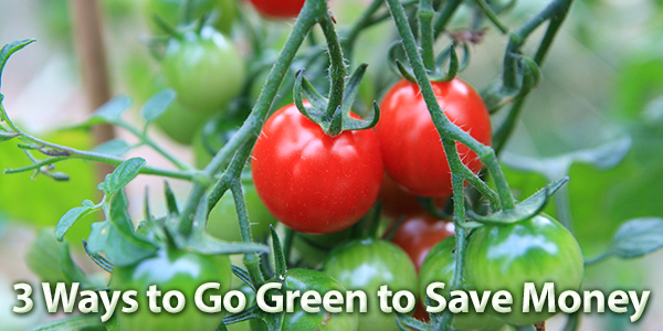 3 Ways to Go Green to Save Money