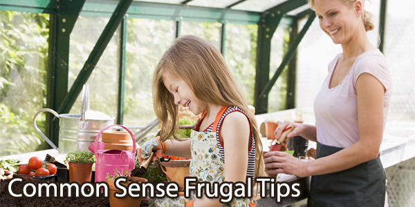Common Sense Frugal Tips