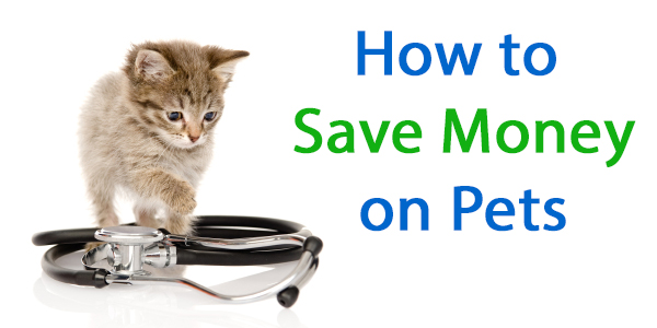 How to Save Money on Pets