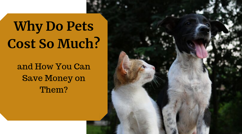 Why Do Pets Cost So Much Billcutterz Money Saving Blog